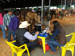 Aluna da Agronomia Eduvale participa de estágio na ABQM